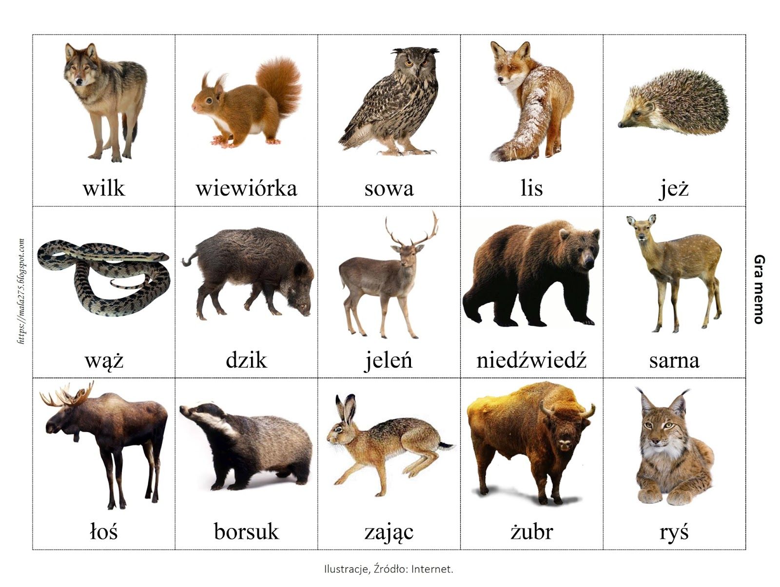 Zwierzęta lasu decydowego